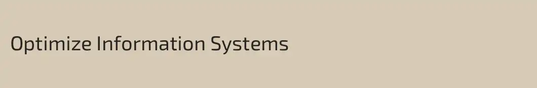Optimize Information Systems